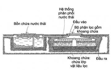 Hướng dẫn tự lọc nước tại nhà với bể sinh học